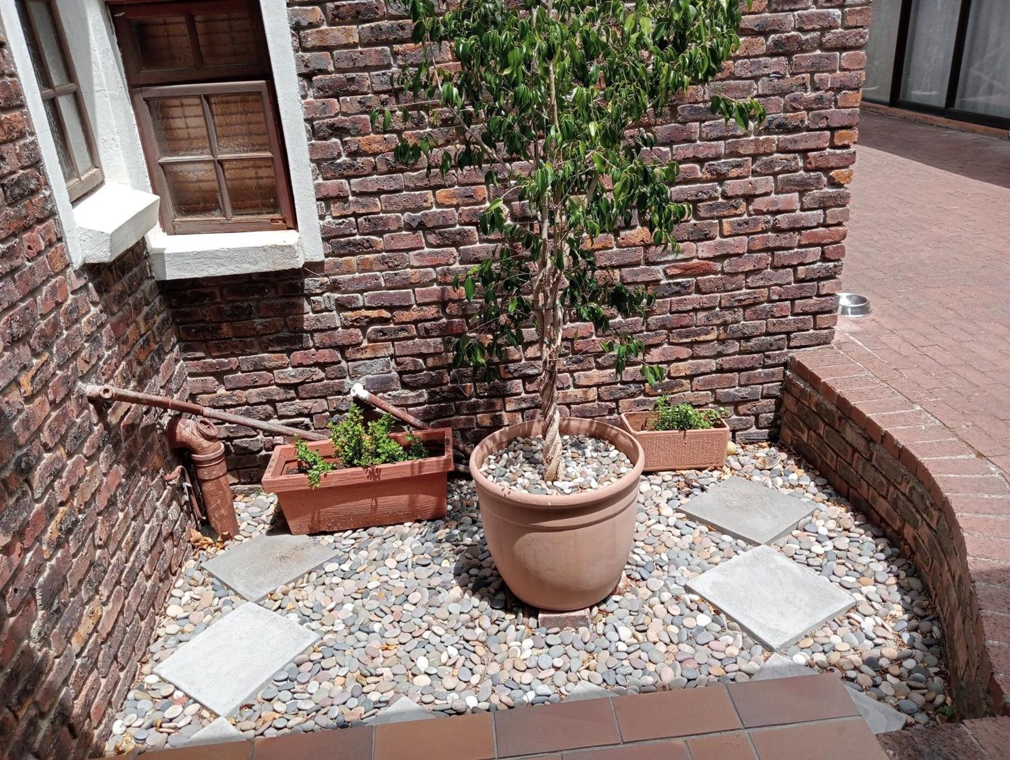 Marinda'S B&B Cidade Do Cabo Exterior foto