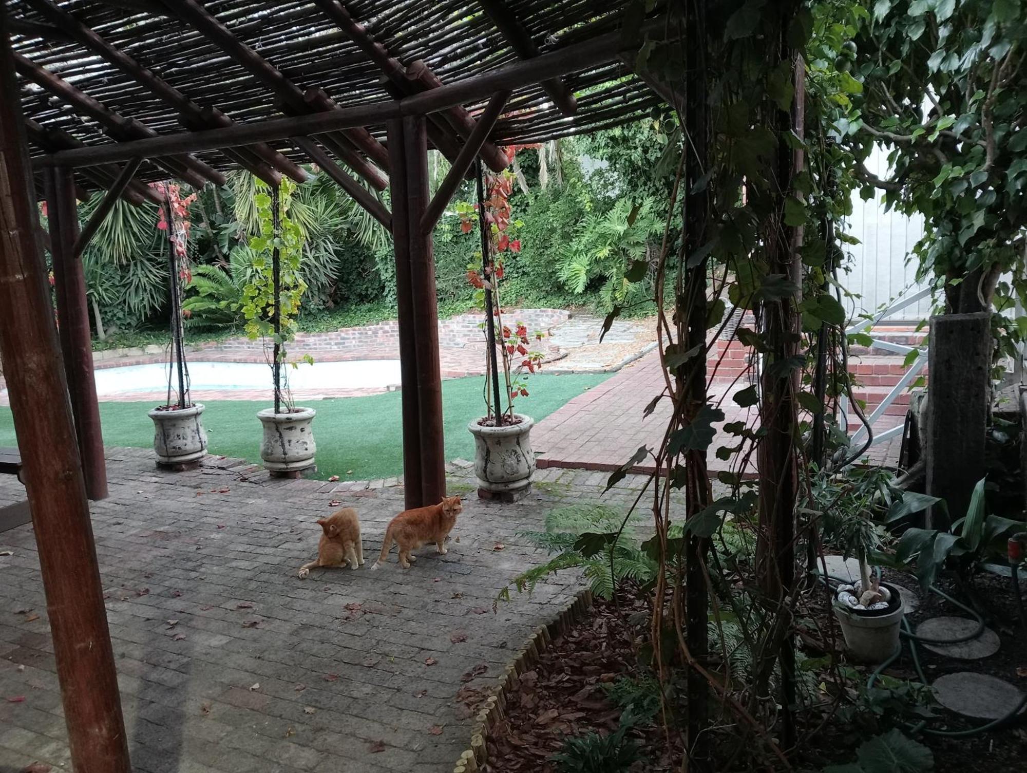 Marinda'S B&B Cidade Do Cabo Exterior foto